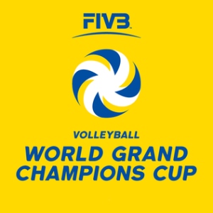 Volleyball world cup